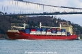 Taurus (OK-180315-00).jpg
