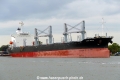 Norse Mobile (OK-290923-0).jpg