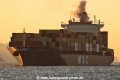 MSC Vidisha R TL-280824-1.jpg