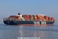 YM Wisdom TL-310321-6.jpg