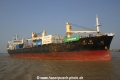 Tao Yuan MS-240705-04.jpg