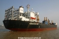Tao Yuan MS-240705-10.jpg