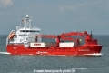 Silver Arctic HK-290622-1.jpg