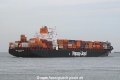 New York Express (170904-7-TS).jpg