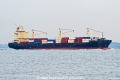 Tiger OS-241022-08.jpg