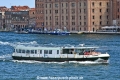 Vignole VE 8817 240626.jpg