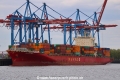 Navios Domino JP-100521-01.jpg