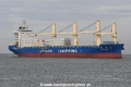 Tian Shou JG-181021-3.jpg