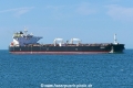Saga (MB-120826-4).jpg
