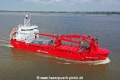 Silver Arctic KH-020522-5.jpg