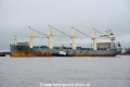 Tian Zhen OS-070121-12.jpg