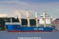 Tian You JP-160720-01.jpg