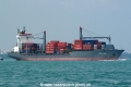 Tiger Jade OS-291107-01.jpg