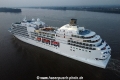 Seven Seas Navigator TL-250823-5.jpg