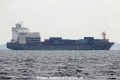 Nordemilia (MS-120816-03).jpg