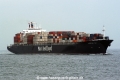 Newport Bay OS-260404-01.jpg