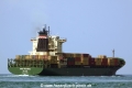 Nina Rickmers (MS-141011-1 ).jpg