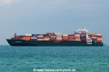 Noble Matar OS-161014-05.jpg