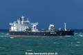 Sea Amethyst (MB-171026-1).jpg