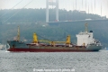 Starry-M (OK-210214-0).jpg