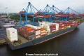 NYK Vega (KB-D020823-01).jpg