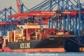 NYK Vega (KB-D100520-01).jpg
