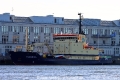 Scandica TL-240925-1.jpg
