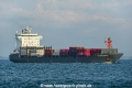Nordmargherita OS-111019.jpg