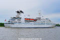 Star Breeze (OK-160519-2).jpg