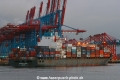 Nordsummer JP-250121-02.jpg