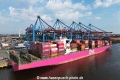 ONE Hanoi (KB-D270624-03).jpg