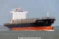 Northern Debonair (MM-130515-1).jpg