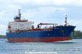 Seasalvia (MB-171026-3).jpg