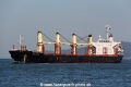 Panforce RV-250416-01.jpg
