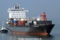 Nordocelot OS-250115-06.jpg