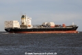 Northern Dexterity JG-010415-03.jpg