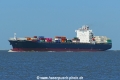 NYK Delphinus (KK-090522-0).jpg