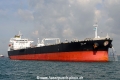 Selini OS-141010-05.jpg