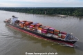 NYK Constellation 150823-06.jpg