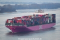 ONE Harbour 110221-2.jpg