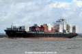 Northern Dexterity TL-020415-3.jpg