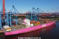 ONE Triton (KB-D310823-02).jpg