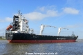 Thorco Alliance (OK-210415-2).jpg
