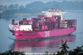 ONE Reinforcement 310525-1.jpg