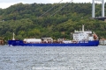 Sirenia (OK-280826-0).jpg