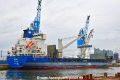 Sophie (KB-D170826-01).jpg