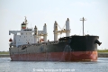 Port Shanghai OS-020516-05.jpg