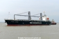 Thorco Lineage (MB-270316-14).jpg