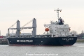 Thorco Lineage (MB-270316-22).jpg