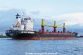 Transarctic (OK-041122-2).jpg